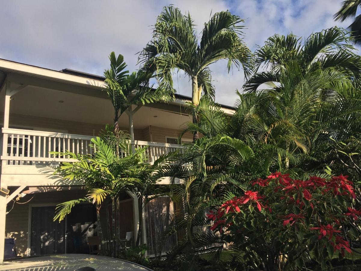 The Cozy Big Studio -30 Days Kailua-Kona Exterior foto